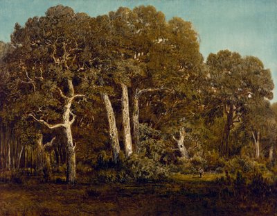 The Great Oaks of Old Bas-Breau, 1864 by Pierre Etienne Theodore Rousseau